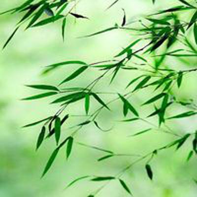 恋舞协奏曲手游下载